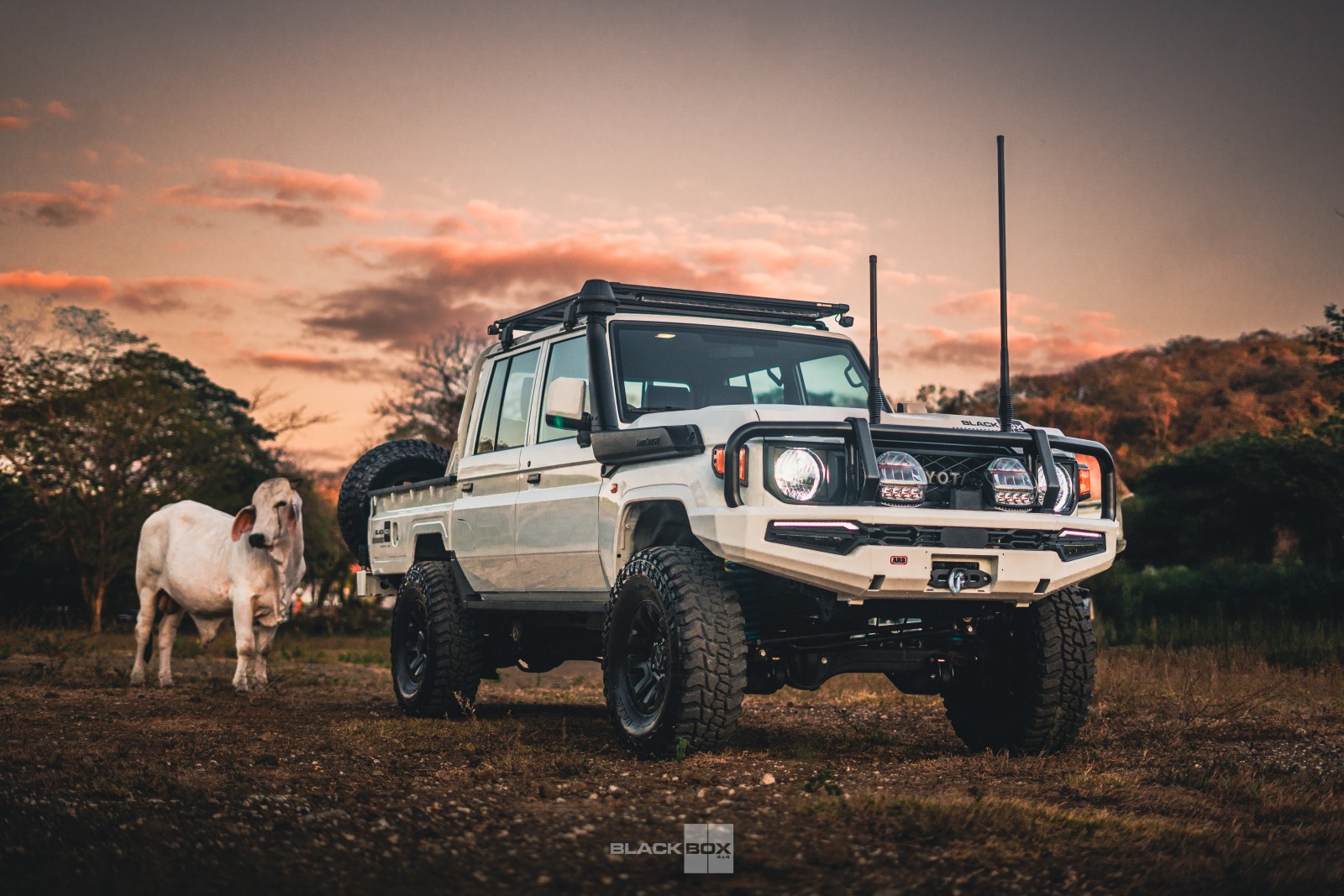 toyota-land-cruiser-lc-79-dubai-148